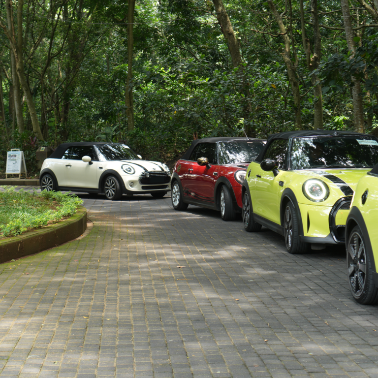 Tour Mini Cooper di Bali