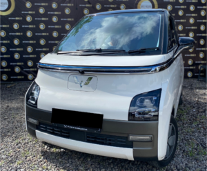 Sewa Mobil Listrik Bali