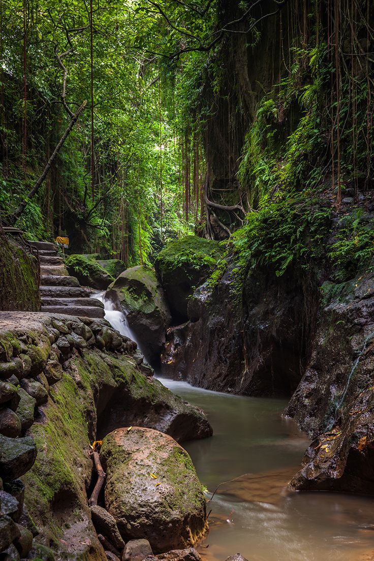 tempat wisata di ubud gratis