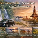 Best Things to Do in North Bali with a Professional Driver