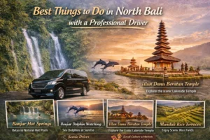 Best Things to Do in North Bali with a Professional Driver