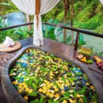 Exploring Bali's Spiritual Retreats with a Private Car Rental Fivelements Retreat