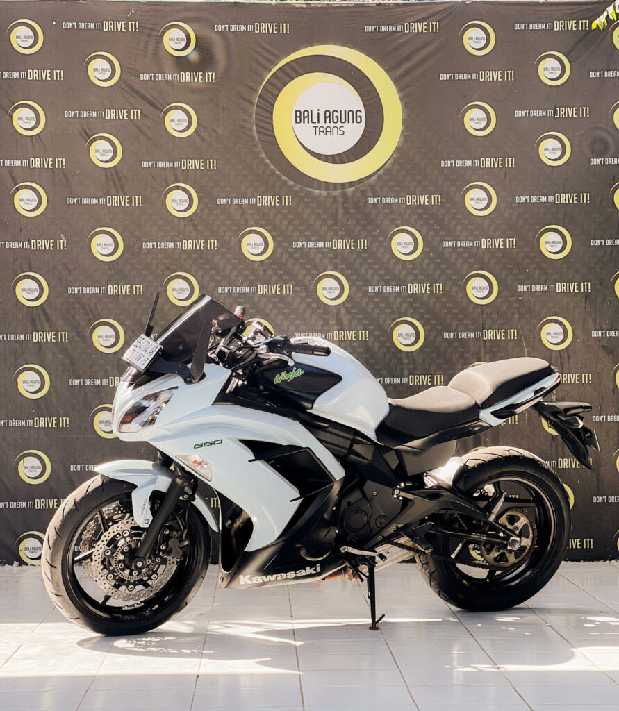 Kawasaki Versys 650